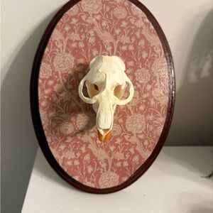 Floral Muskrat Skull Wall Decor